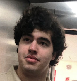 Portrait of Guilherme Werner
